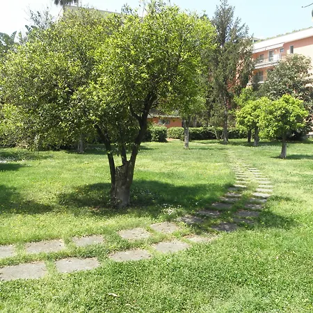 Lemon 住宿加早餐酒店