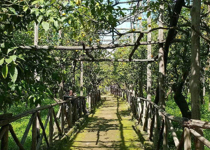 Lemon 住宿加早餐酒店 3*