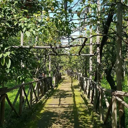 Lemon Bed & Breakfast 3*